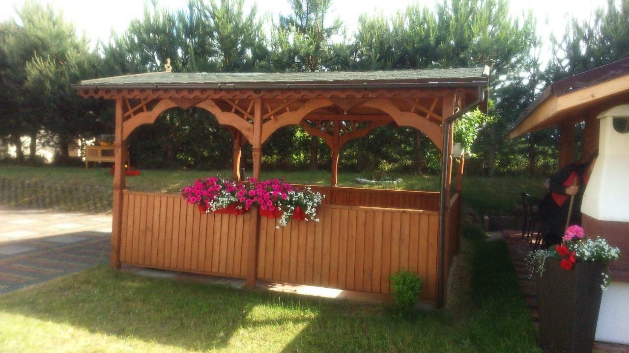 Goscinne U Oli * Wiselka