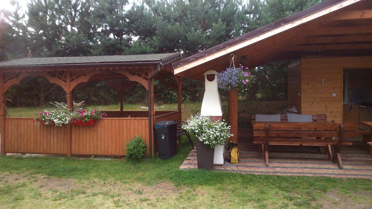 Goscinne U Oli Wiselka